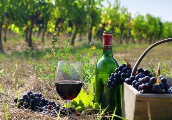 Azerbaijan Wine Tasting & Winery Tour